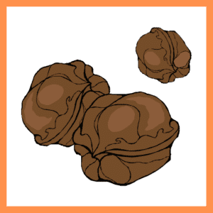 Other Nuts