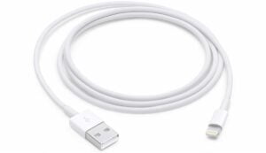 Type C to Lightning PD Charging Cable (A1703) Without packaging (GRADE A)