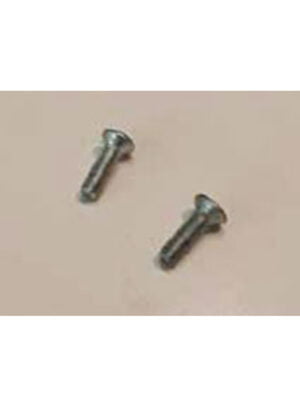 Screws 3 x 10 Galvanized
