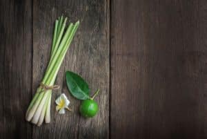 Lemongrass & Lime Scent