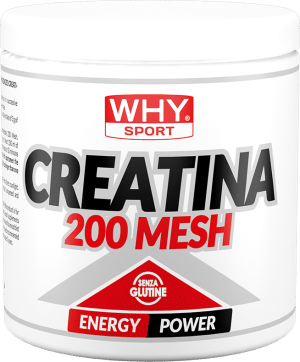 CREATINE 200 MESH 200 g