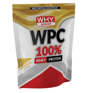 Wpc 100% Whey 1 Kg – Donut