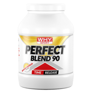 Perfect Blend 90 750 g – Banana Vanilla