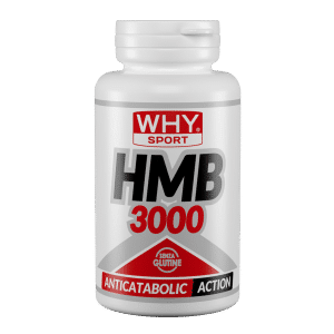 HMB 3000 90 tabs