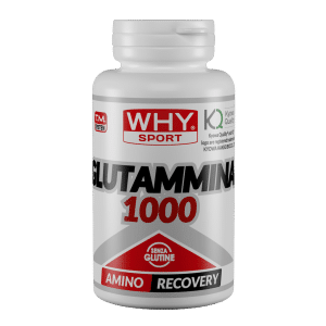 Glutamine 1000 100 tabs