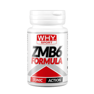 ZMB6 Formula 90 tablets