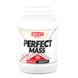 Perfect Mass 1.6 Kg – White Chocolate