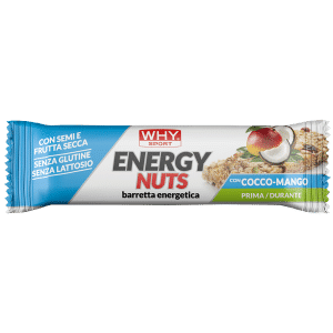 Energy Nuts 35 g – Coconut Mango