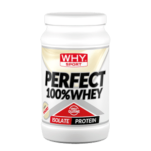Perfect 100% Whey 450 g – Yogurt