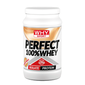 Perfect 100% Whey 450 g – Peach Yogurt