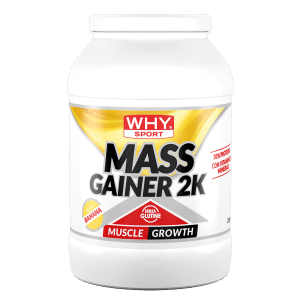 Mass Gainer 2K 2 Kg – Banana