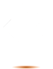 Humm Flying Bird-Image